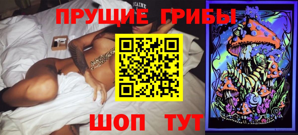 Галлюциногенные грибы Psilocybine cubensis Будённовск